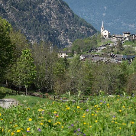 Case Gran Paradiso Rhemes Saint Georges Exterior photo