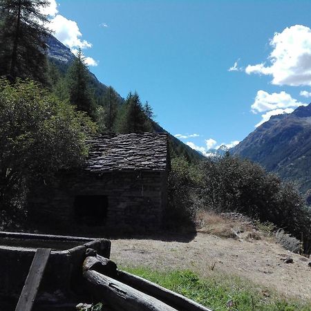 Case Gran Paradiso Rhemes Saint Georges Exterior photo